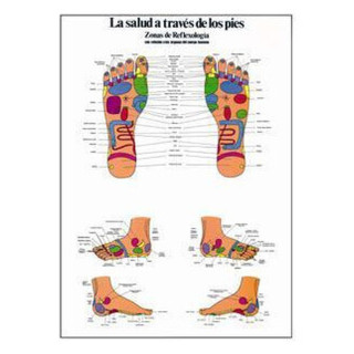 REFLEXOLOGIA DEL PIE