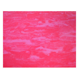 NovaColor M (7722) | Iberoclinic.pt