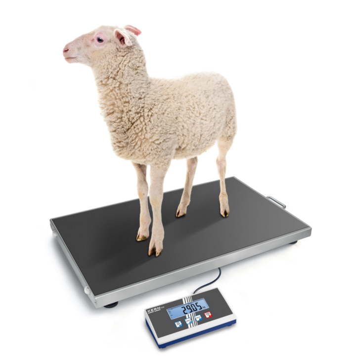BALANÇA VETERINÁRIA | Balanças e | Iberoclinic