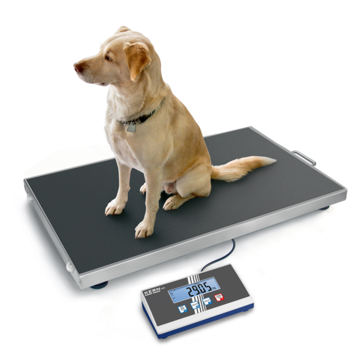BALANÇA VETERINÁRIA | Balanças e | Iberoclinic